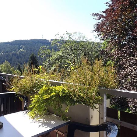 Residenz Bocksberg-Blick & St. Florian Villa Goslar Kültér fotó