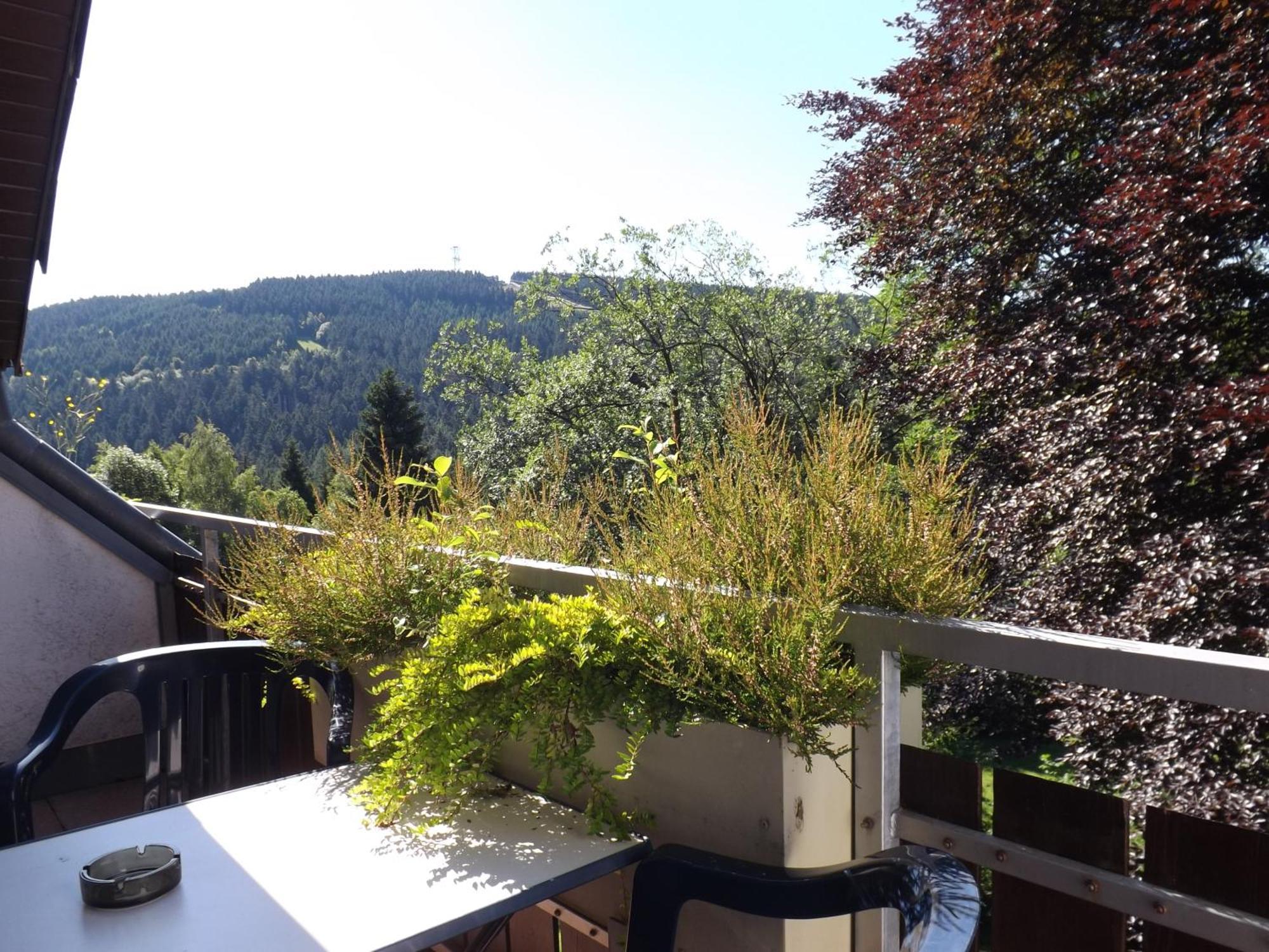 Residenz Bocksberg-Blick & St. Florian Villa Goslar Kültér fotó